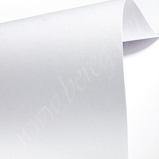 CONSTALLATION SNOW E33 RASTER  280